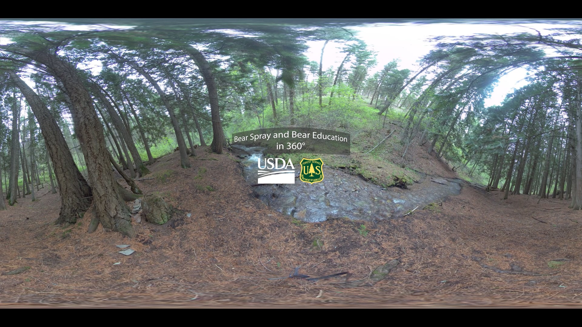 Bear Spray and Bear Education Training in 360