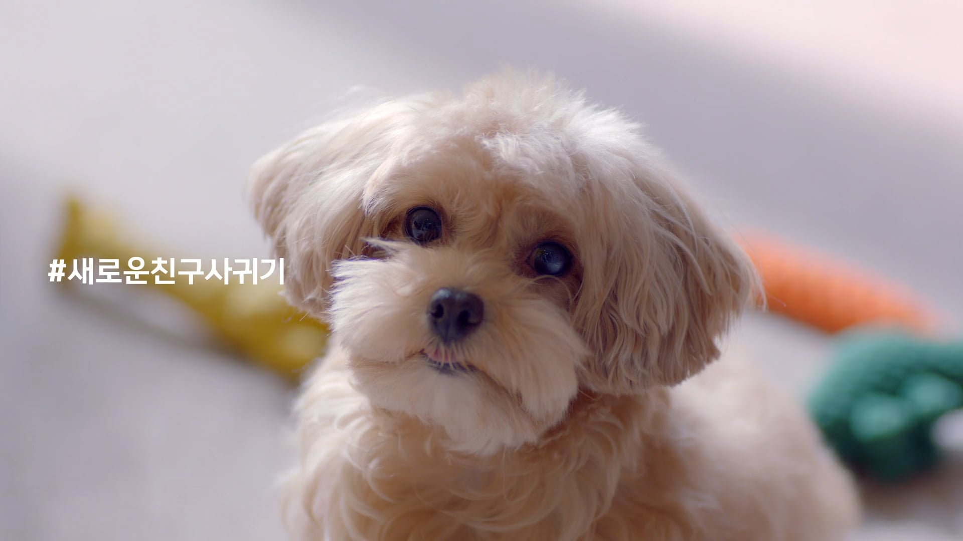 [MBC] 창사 60주년 Manifesto