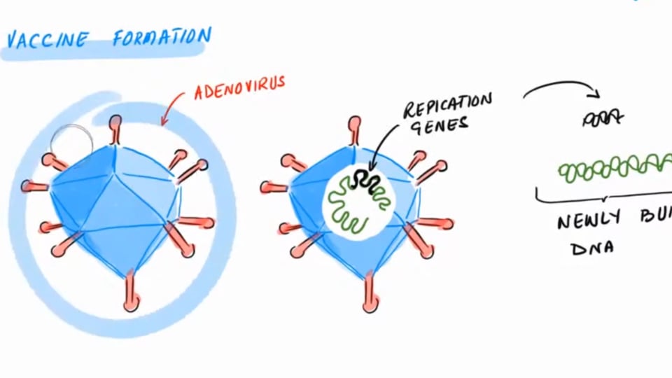 How is AstraZeneca Vaccine Made