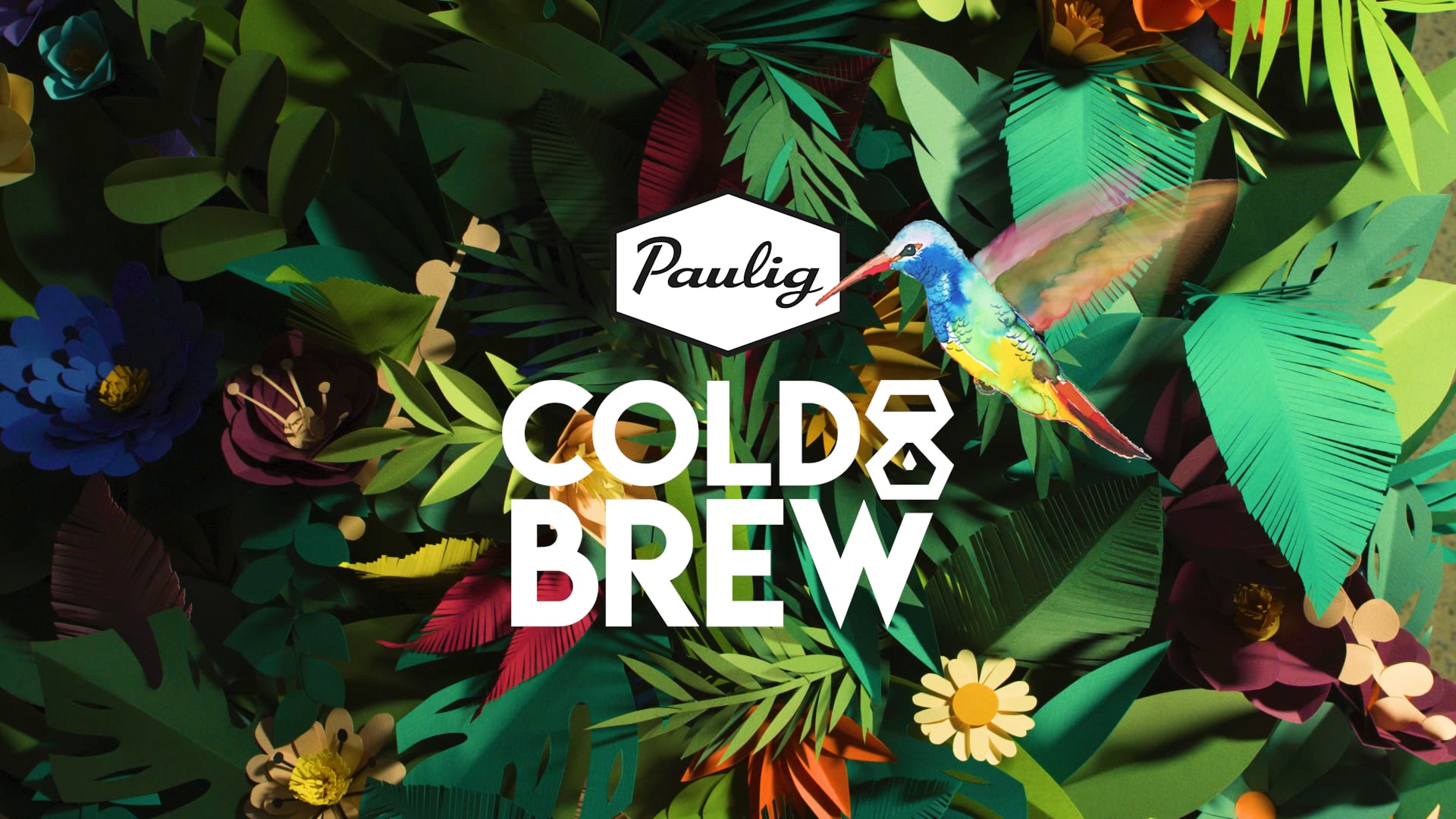 Paulig Cold Brew Sparkling