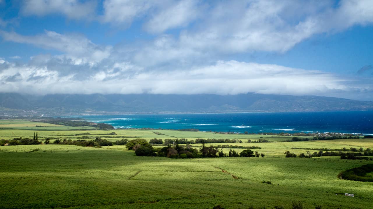 Maui Windsurfing Spots Guide on Vimeo