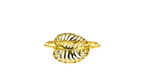 14kt Yellow Gold Palm Leaf Ring