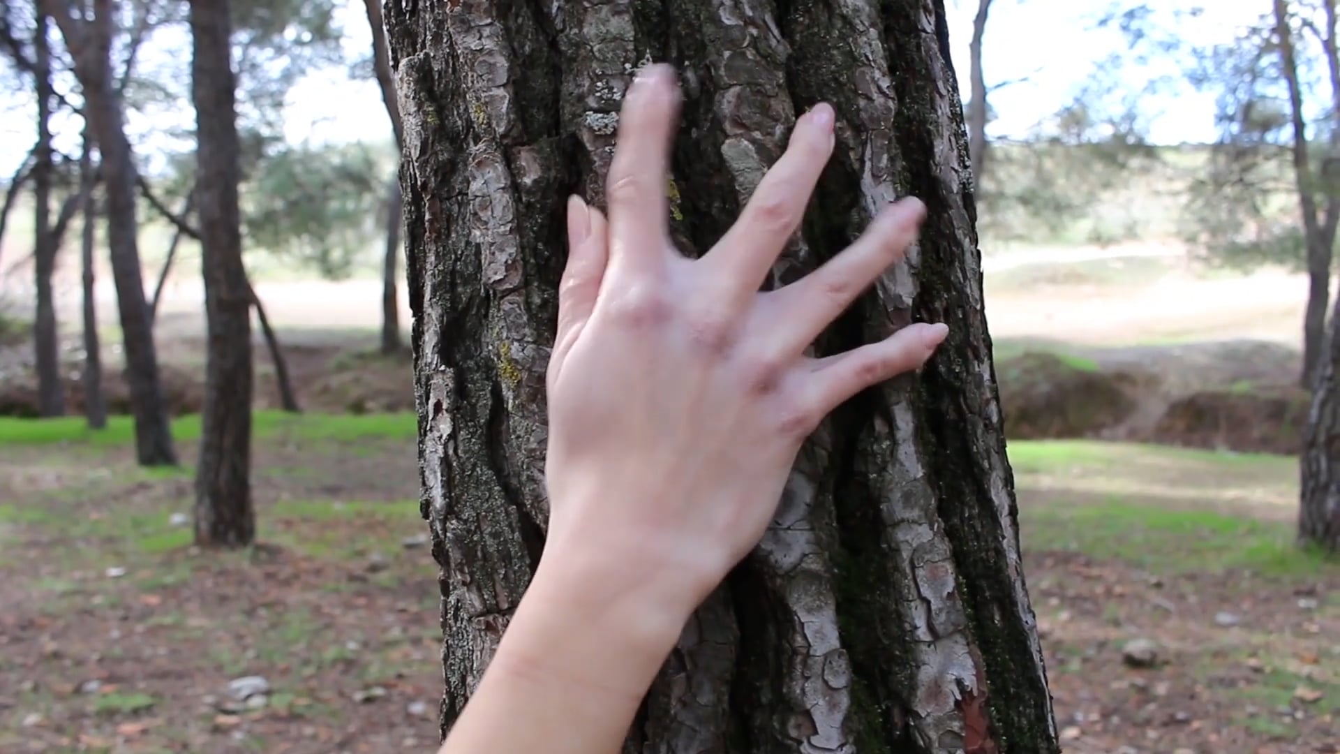 The girl from behind