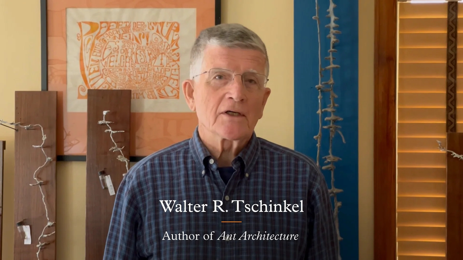 Walter R. Tschinkel, Ant Architecture: The Wonder, Beauty, and Science of  Underground Nests