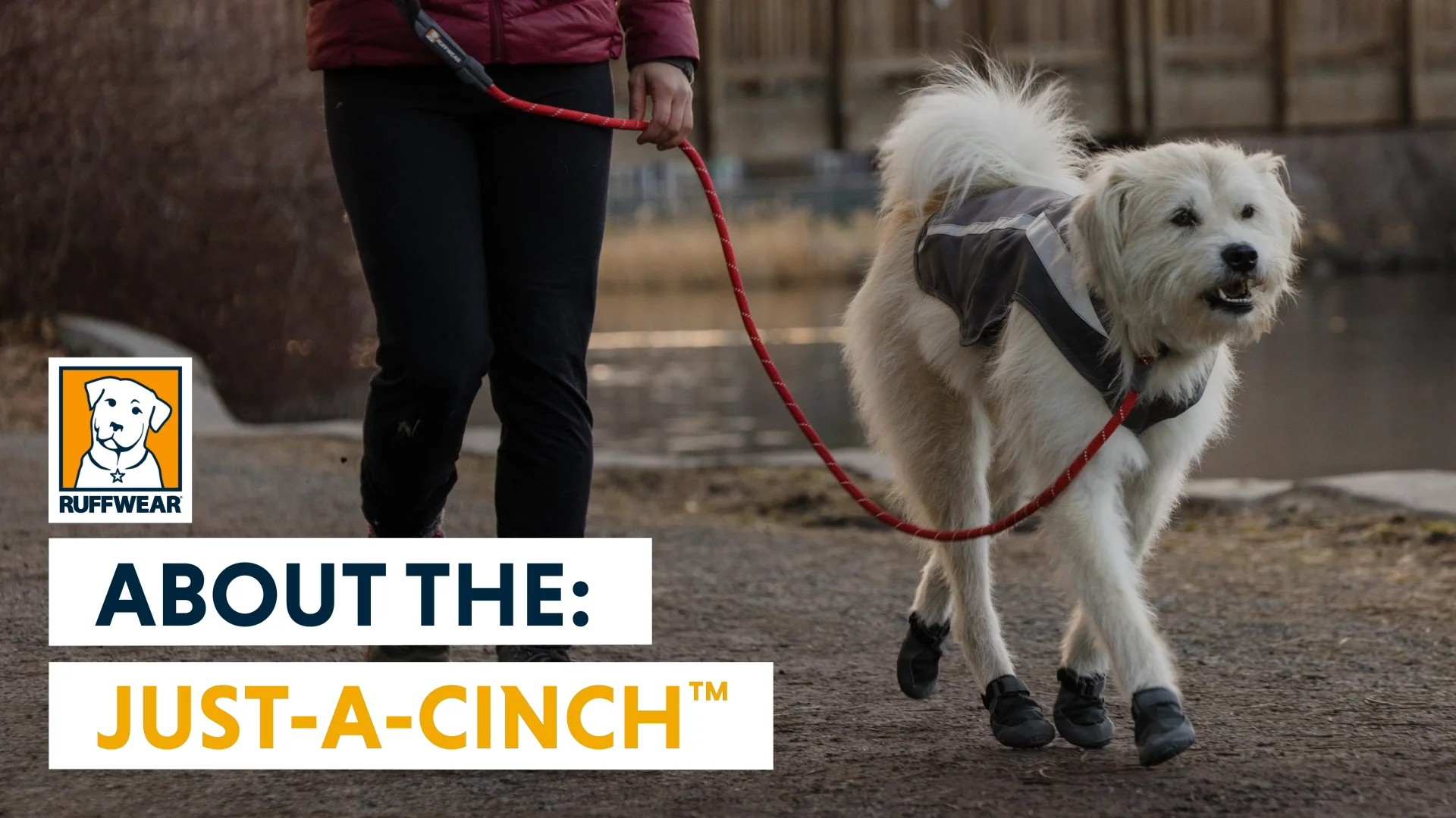 It's a cinch or is it?