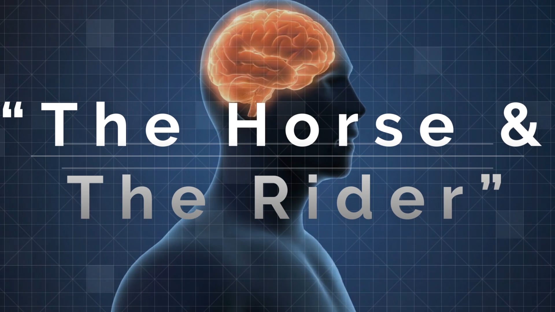 The Horse and the Rider - Rational & Emotional Thinking