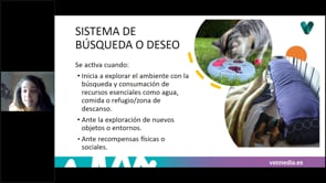 Emociones en el perro y en el gato