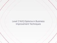 Level 2 NVQ Diploma in Business Improvement Techniques (RQF) 