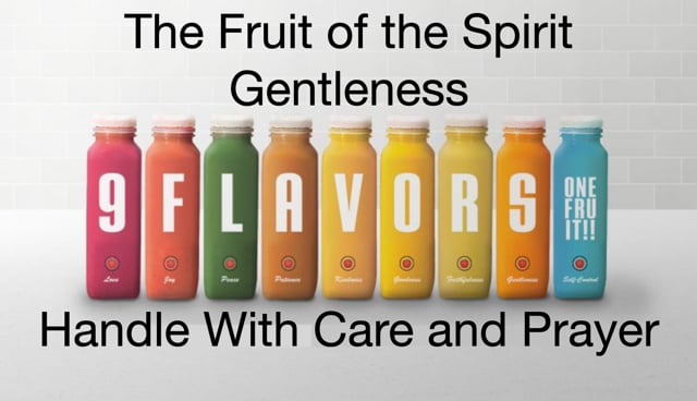 Gentleness - Handle with Care and Prayer