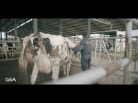 El día a día de una granja familiar robotizada