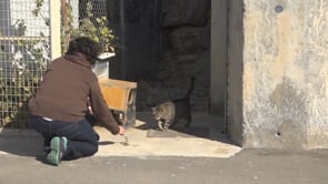 La classe dels gats visita colònies de gats de carrer