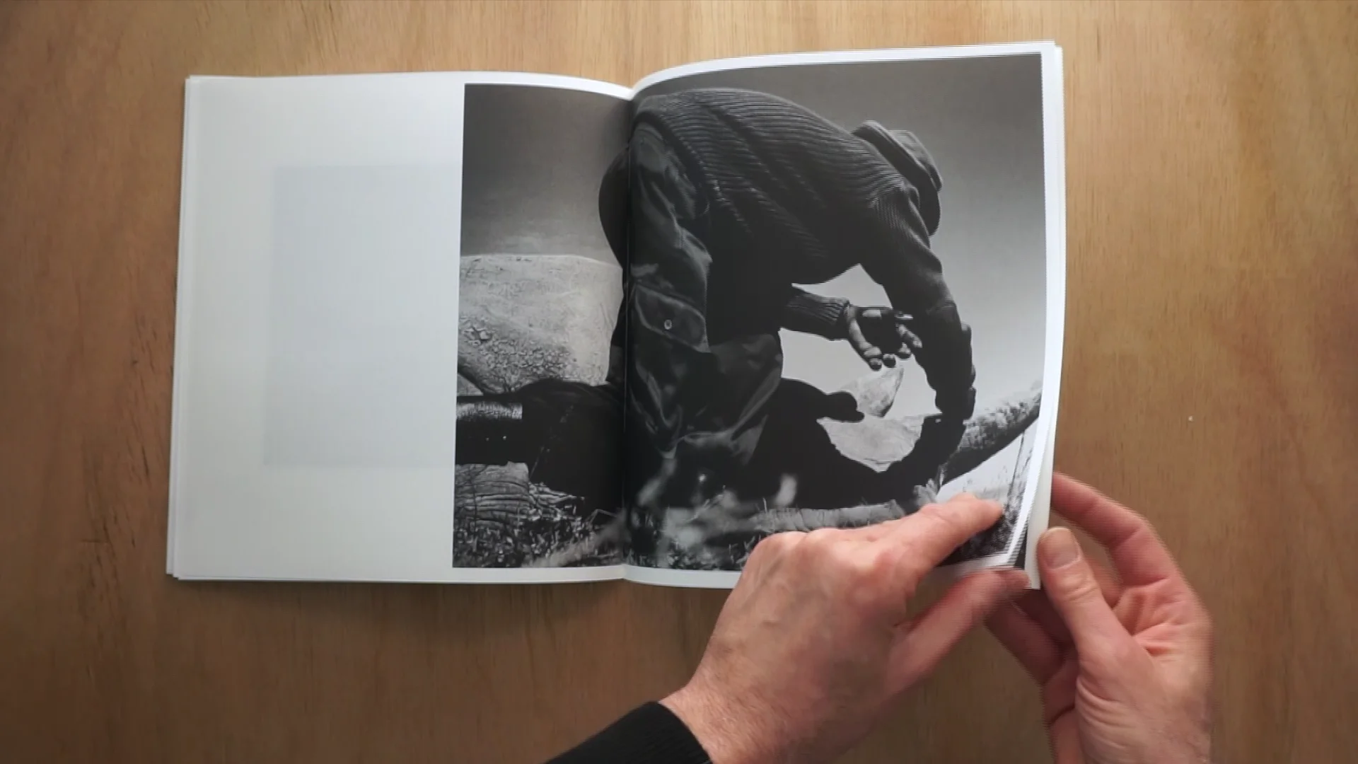 Jack Davison - Ol Pejeta | Videos & Movies on Vimeo