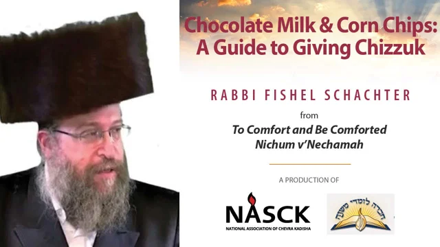 Stream Removing Lint or Dust from Clothing on Shabbat by Rabbi Avi