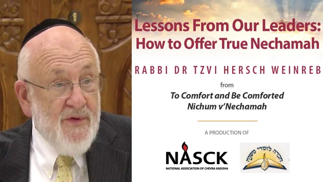 Stream Removing Lint or Dust from Clothing on Shabbat by Rabbi Avi