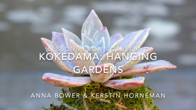 Kokedama: Hanging Gardens