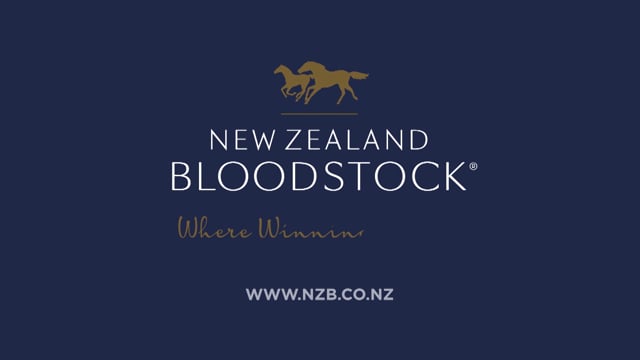 NZB Online Bidding Tutorial