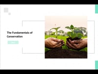The Fundamentals of Conservation