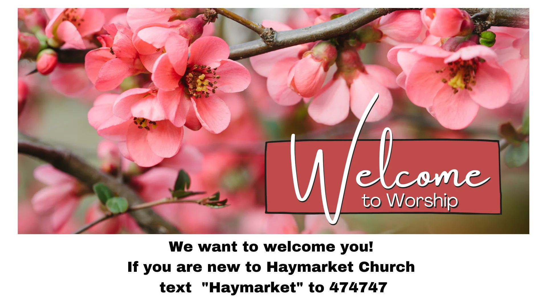  Walking In The Light Of Love Sunday April 11 Worship With