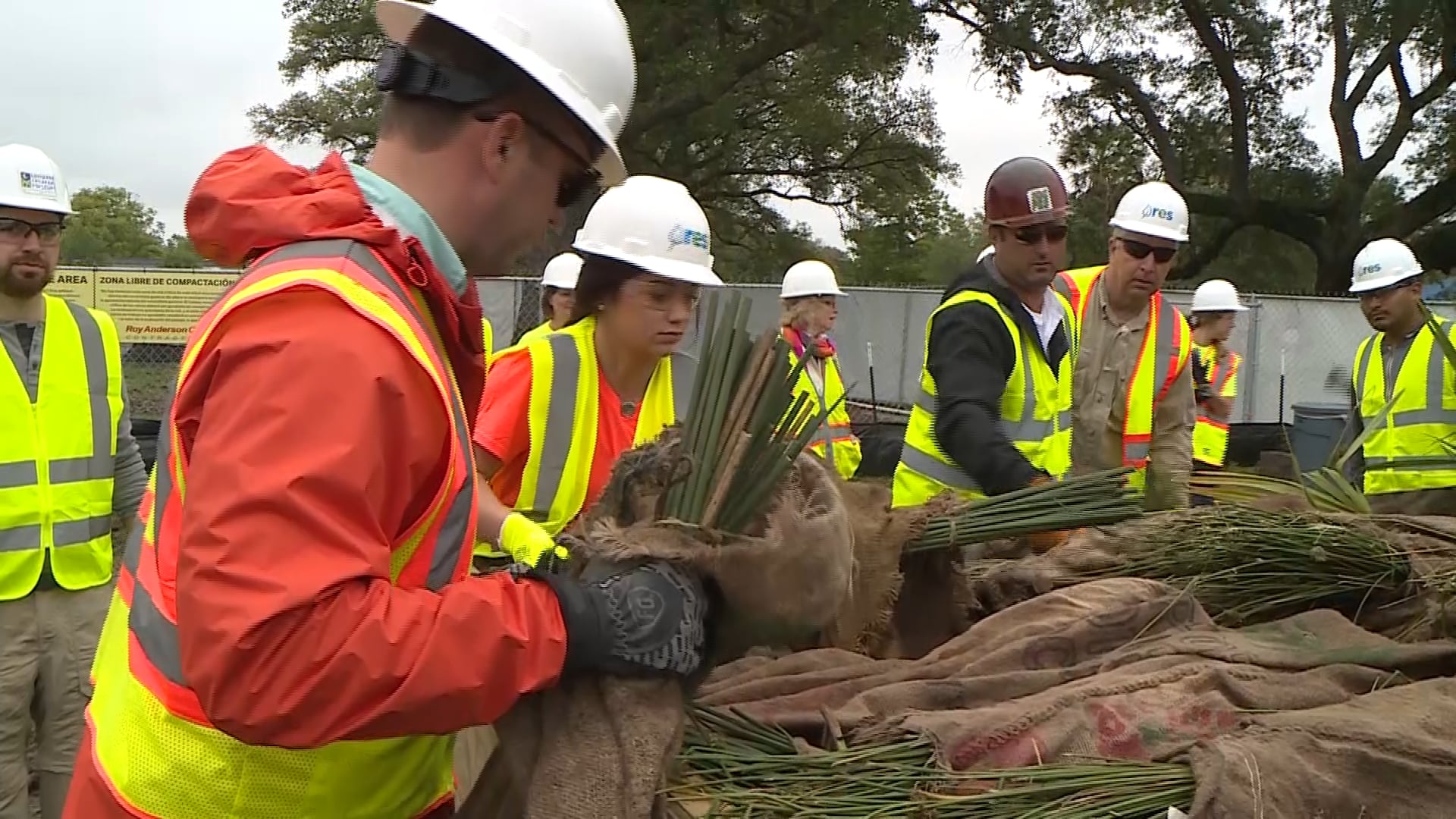 Case Study in Corporate Restoration: BHP Terrebonne Biodiversity & Resiliency Projects 