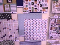 NEW 2014 Collections from Echo Park - CHA reveal