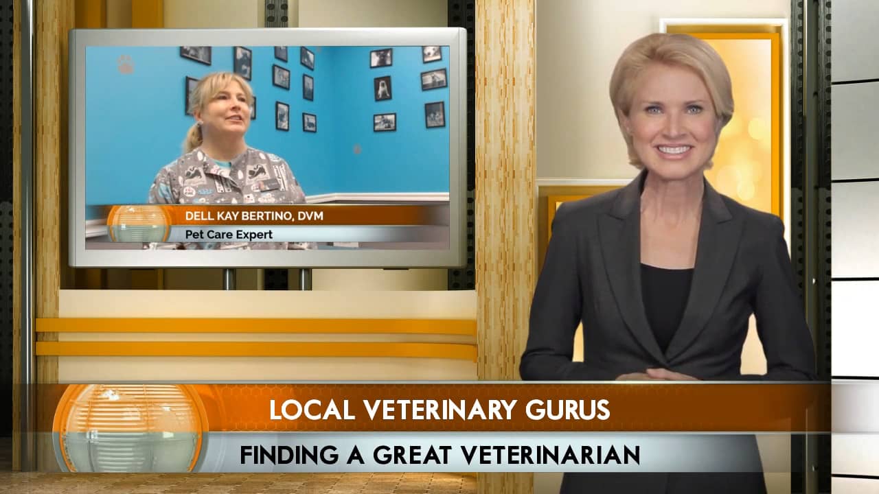 Shiloh Veterinary Hospital Billings MT, Dell Kay Bertino, DVM on