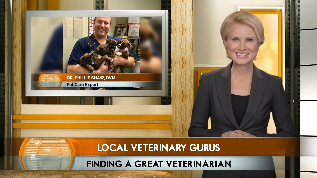 Choice Veterinary Services Punta Gorda, FL , Dr. Phillip Shaw, DVM on