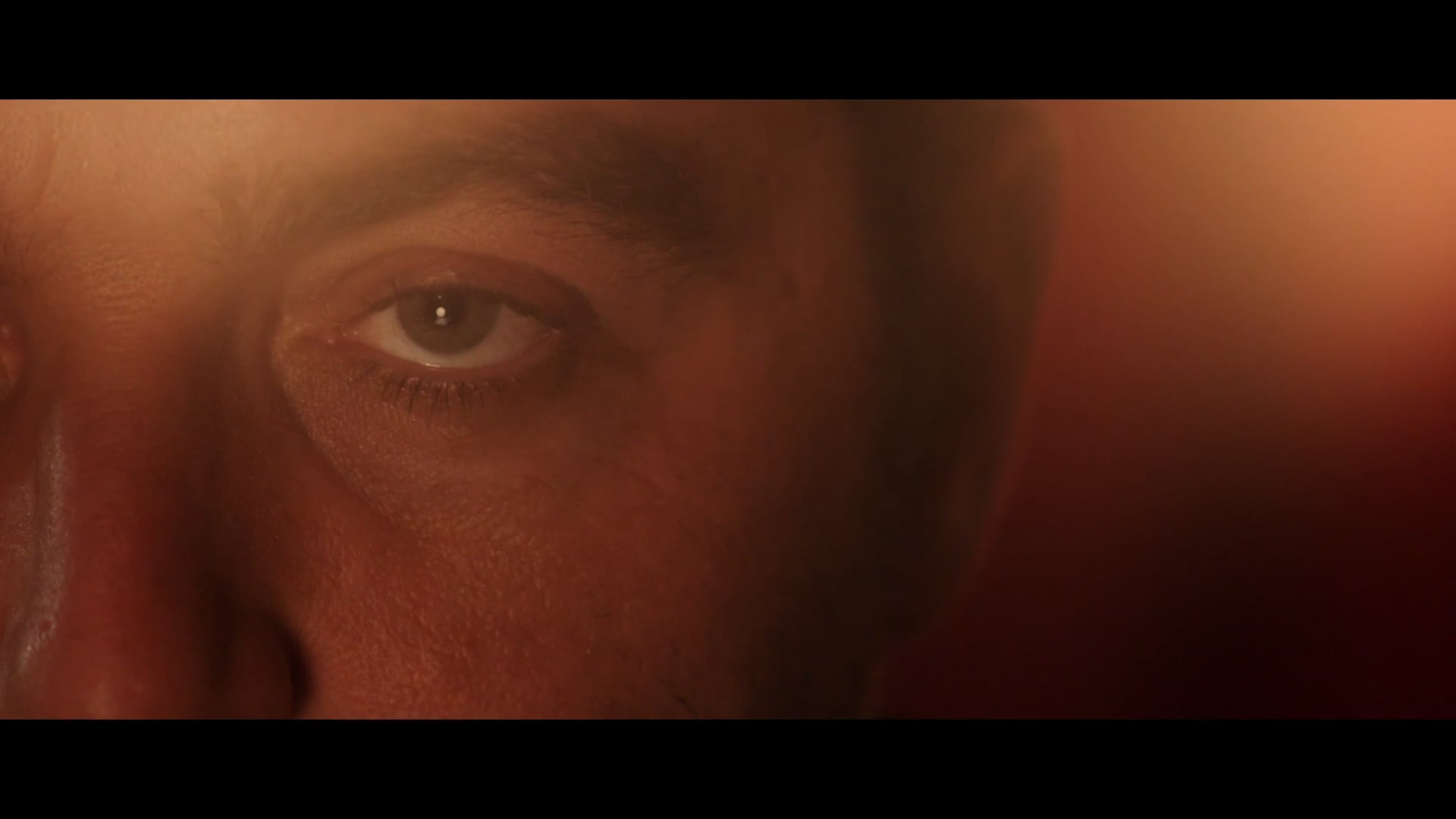 Ablations - bande-annonce