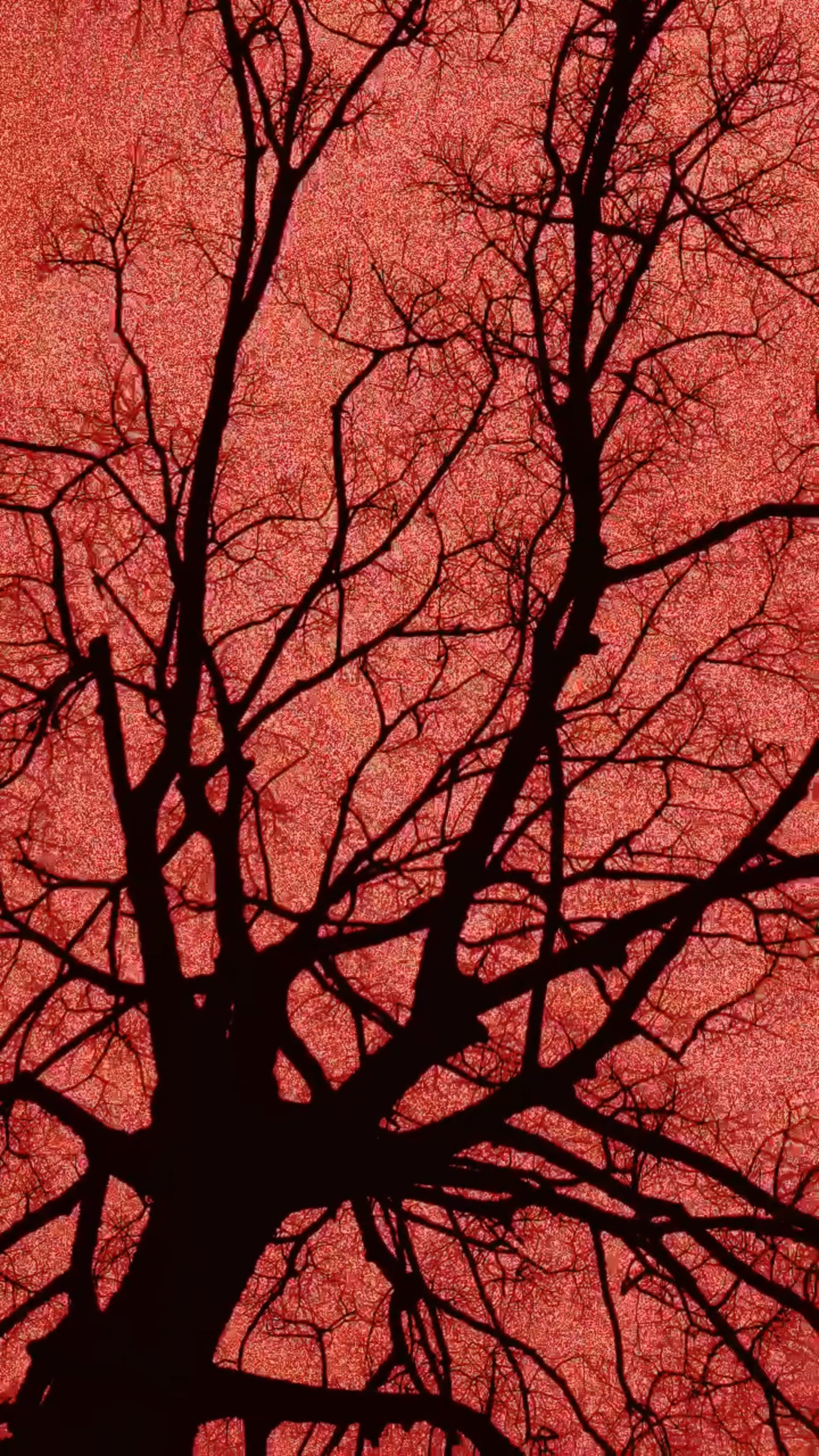 Em Busca da Eternidade