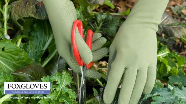  Foxgloves Elbow Length Gardening Gloves with Grips - Foxgloves Elle  Grip Gloves (Crow Black, Small) : Patio, Lawn & Garden