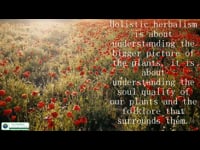 What is Holistic Herbalism?