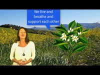 Introduction to Your Course