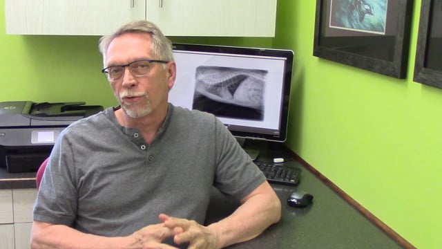 Dr. Jeff's Flea Med Recommendations for 2021