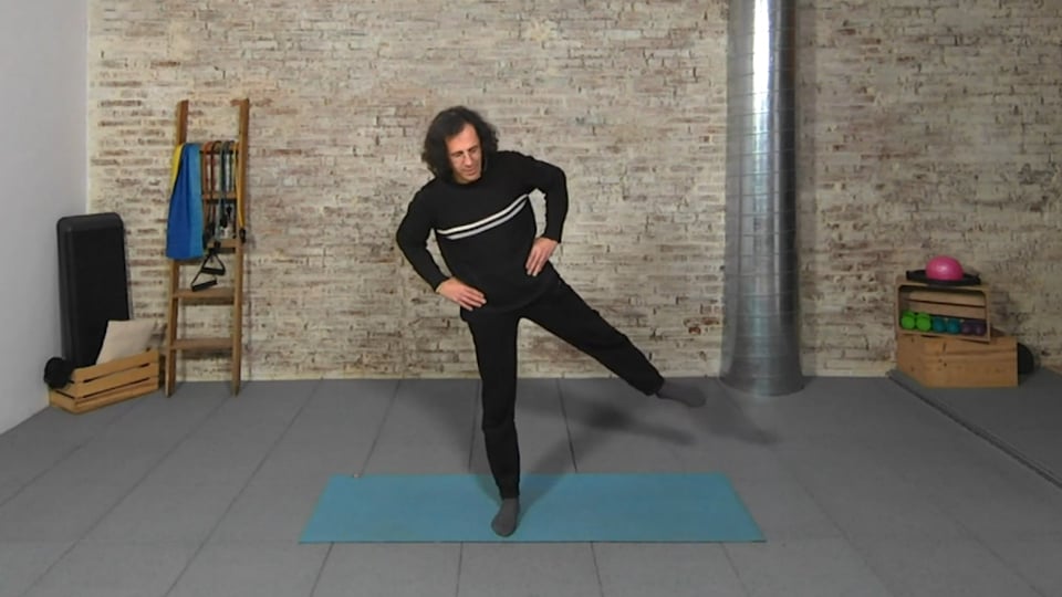 Aprender de los gatos