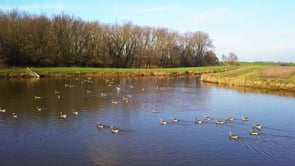 Makelaardij Th. Van Casteren