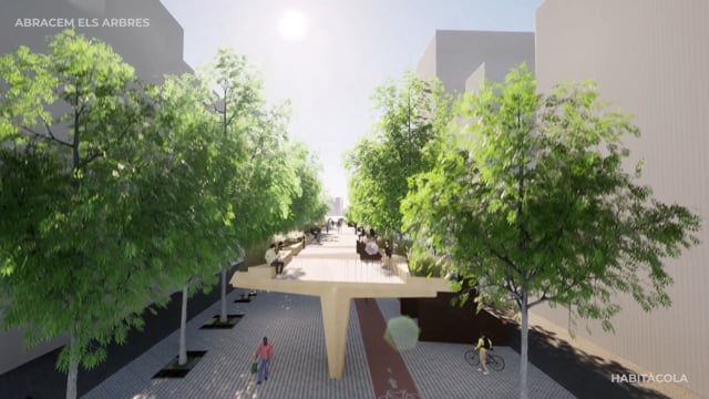 ABRACEM ELS ARBRES. “Un altre punt de vista”