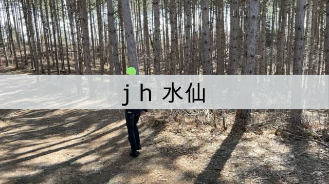 J H 水仙