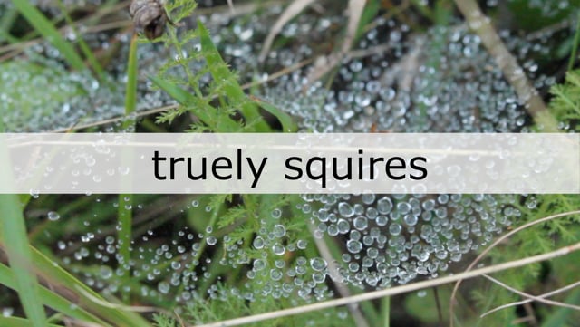Truely Squires