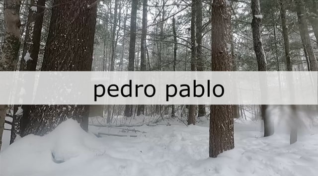 Pedro Pablo