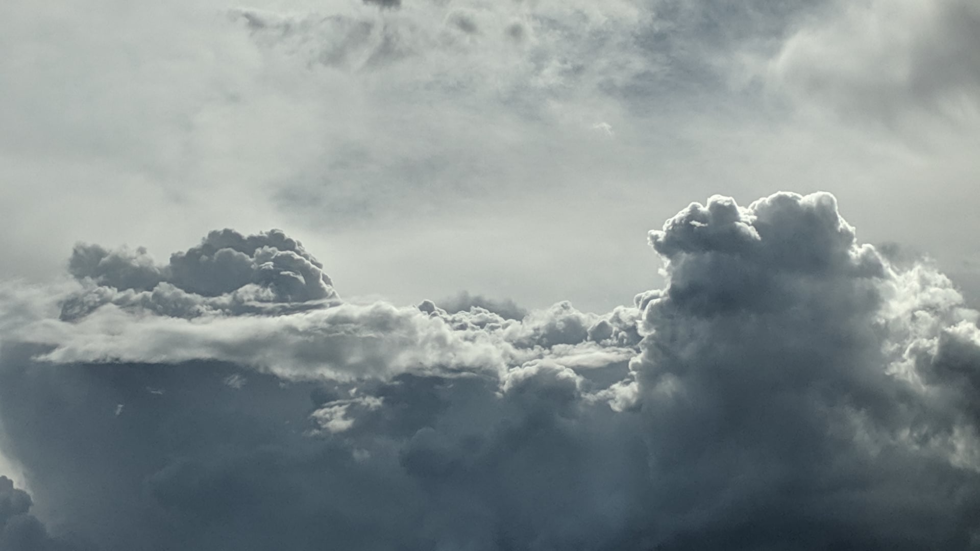 2021 April 08: The Wisdom of Pain