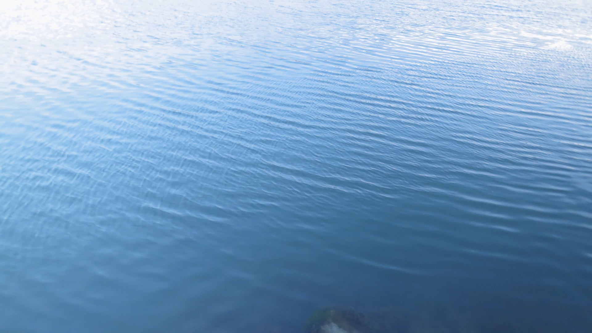 2021 April 01: Mindfulness & Investigation