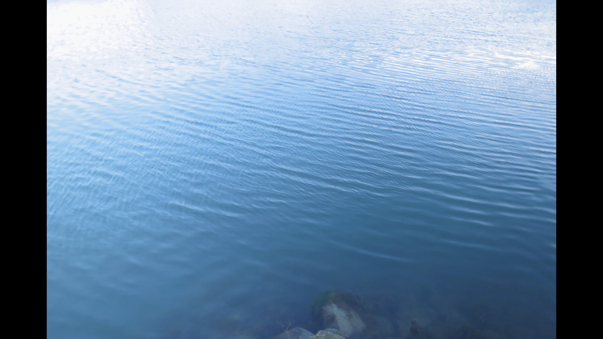 2021 April 01: Mindfulness & Investigation