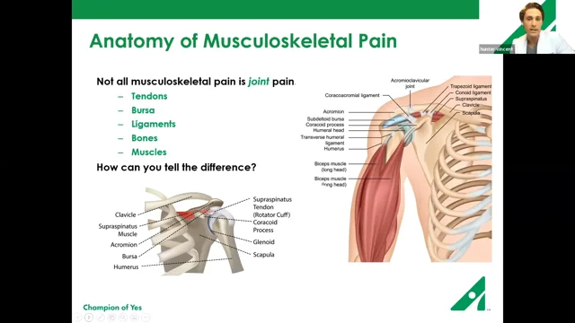 Neck and Shoulder Pain: What to Know, How to Get Relief Webinar