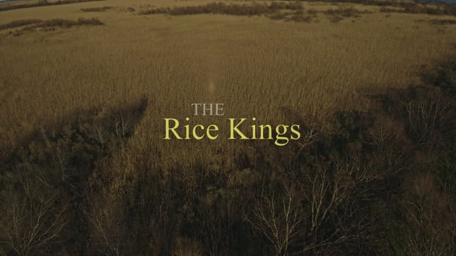 Saving Grace - The Rice Kings.mp4