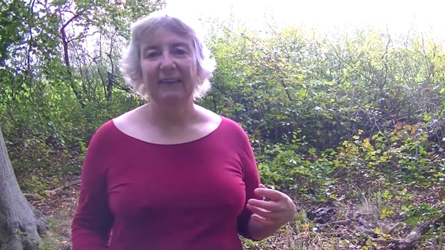 Reflexion Kommunikationssperren