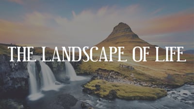 Day 4 - The Landscape Of Life
