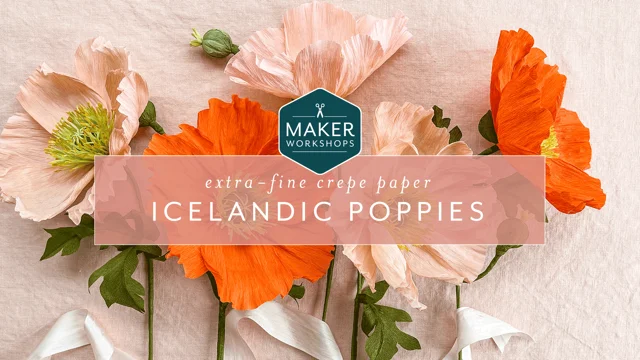 Poppy crepe paper flower kit - Lia Griffith