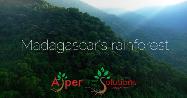 Save the forest!