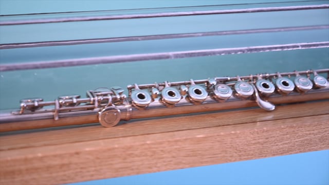 https://player.vimeo.com/video/536741469