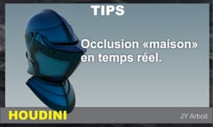 Occlusion «maison» en temps réel.