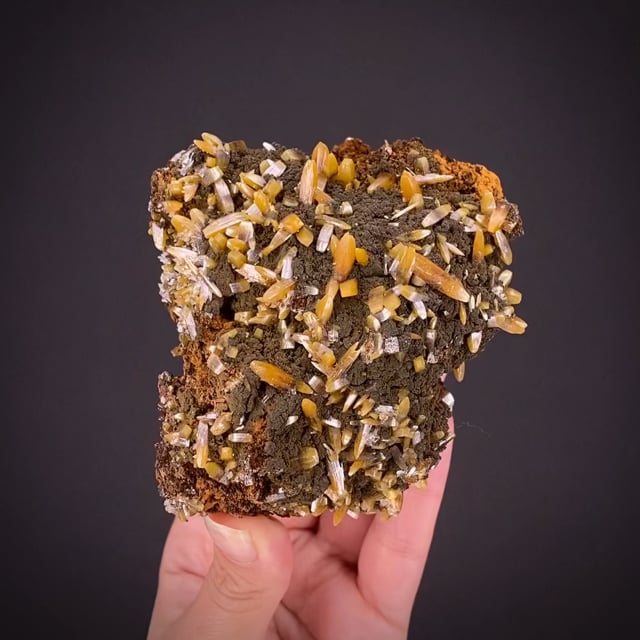 Wulfenite (bipyramidal crystals - 2008 find)